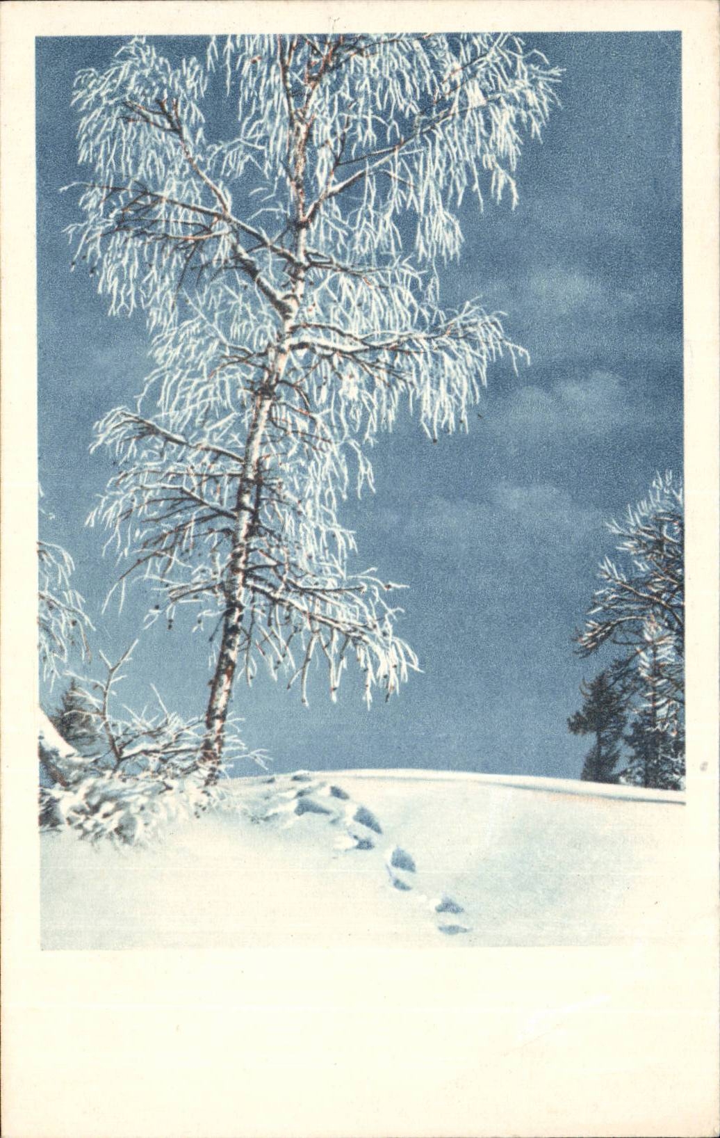 CPA Traces in snow in mountain