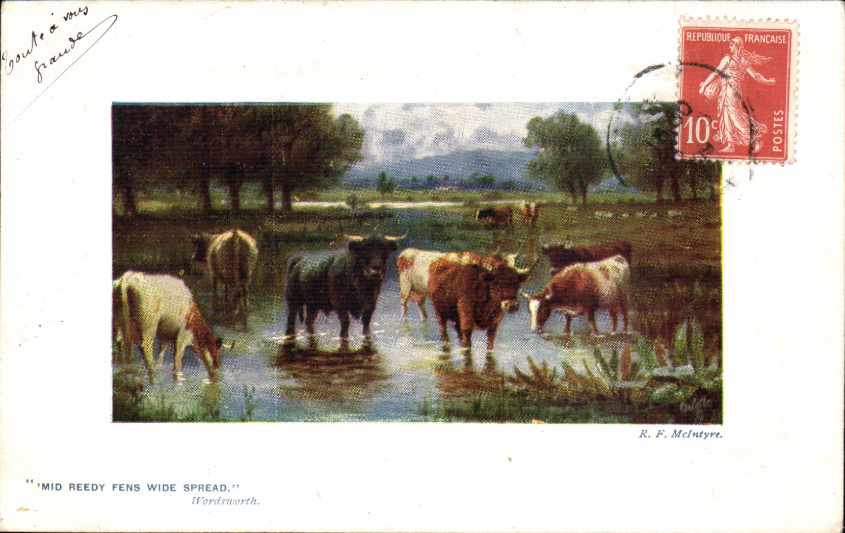 CPA Vaches Wordsworth Taureaux Toro