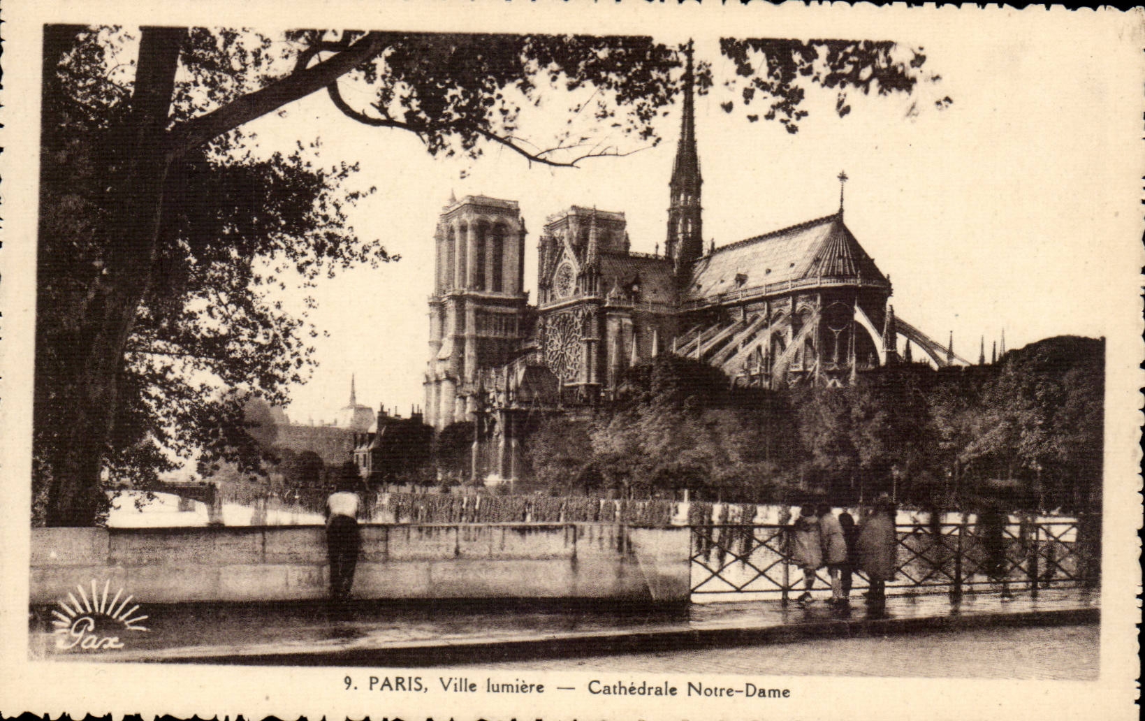 Paris CPA Ville lumiere Cathedrale Notre DAme