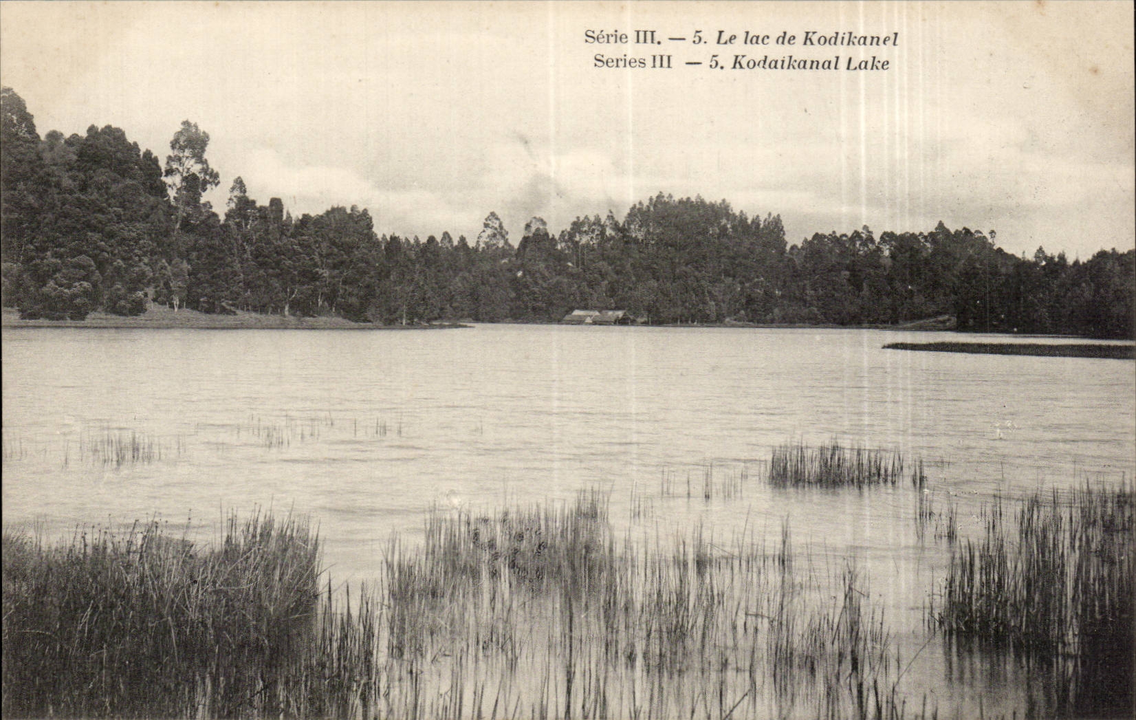 CPA Inde India Le lac de Kodikanel