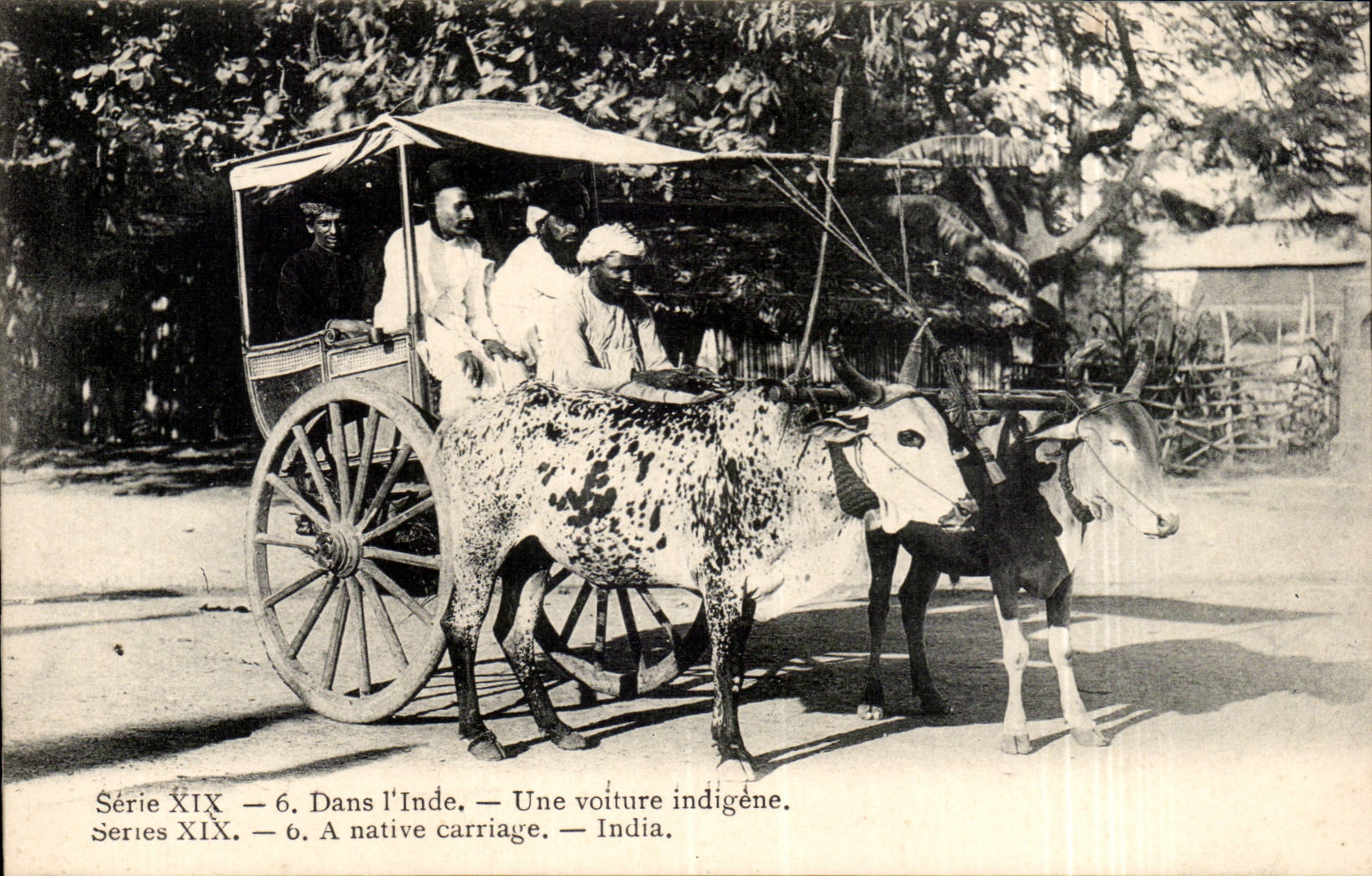 CPA Inde India Une voiture indigene ( boeufs ) TOP