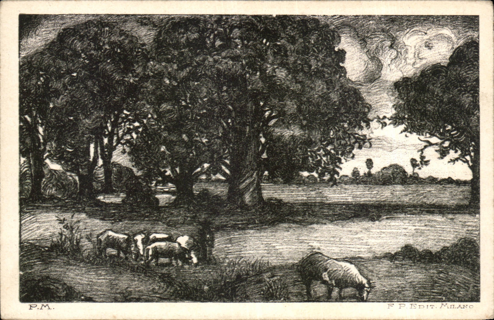 Bucolic CPA Paysge Sheep