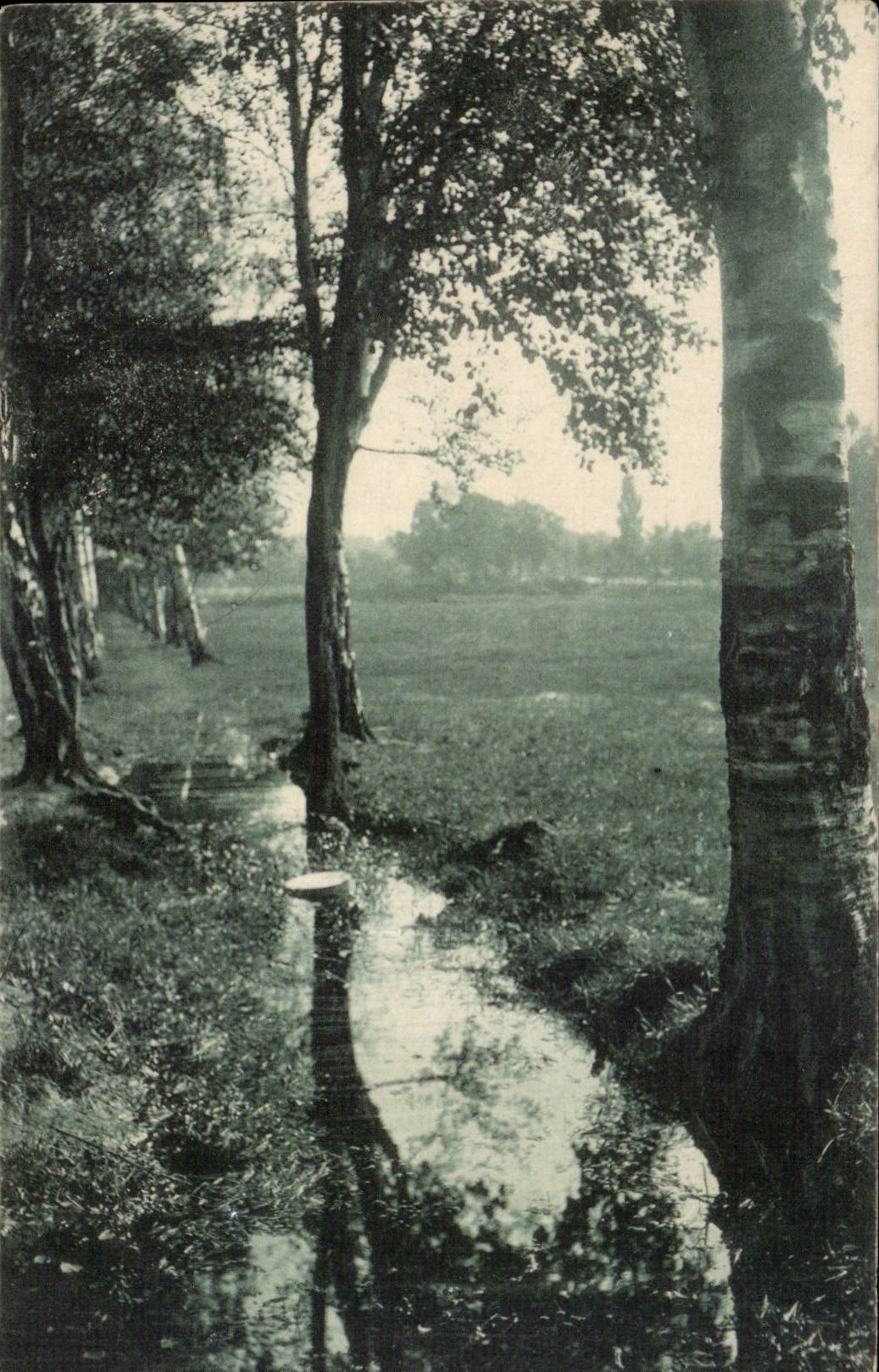 CPA Fantasy Landscape