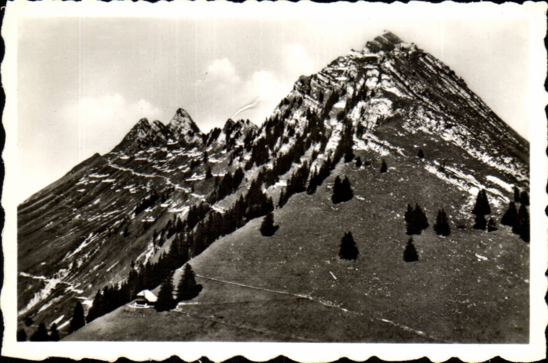 MODERN CARD Collar of Jaman 1520m Chain of Verreaux and Chalet Case