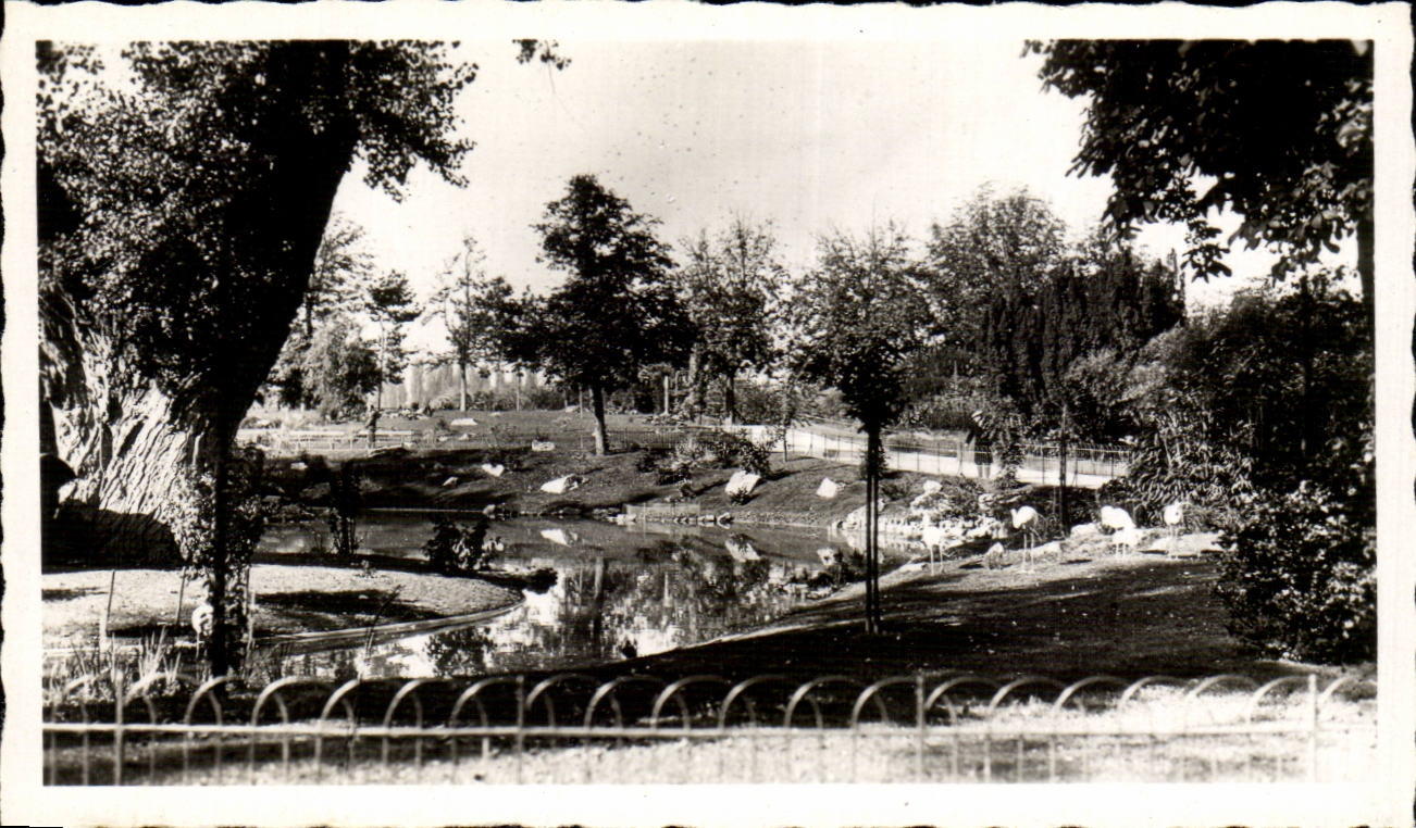 CPM Vichy Les parcs et le nouveau bassin des cygnes
