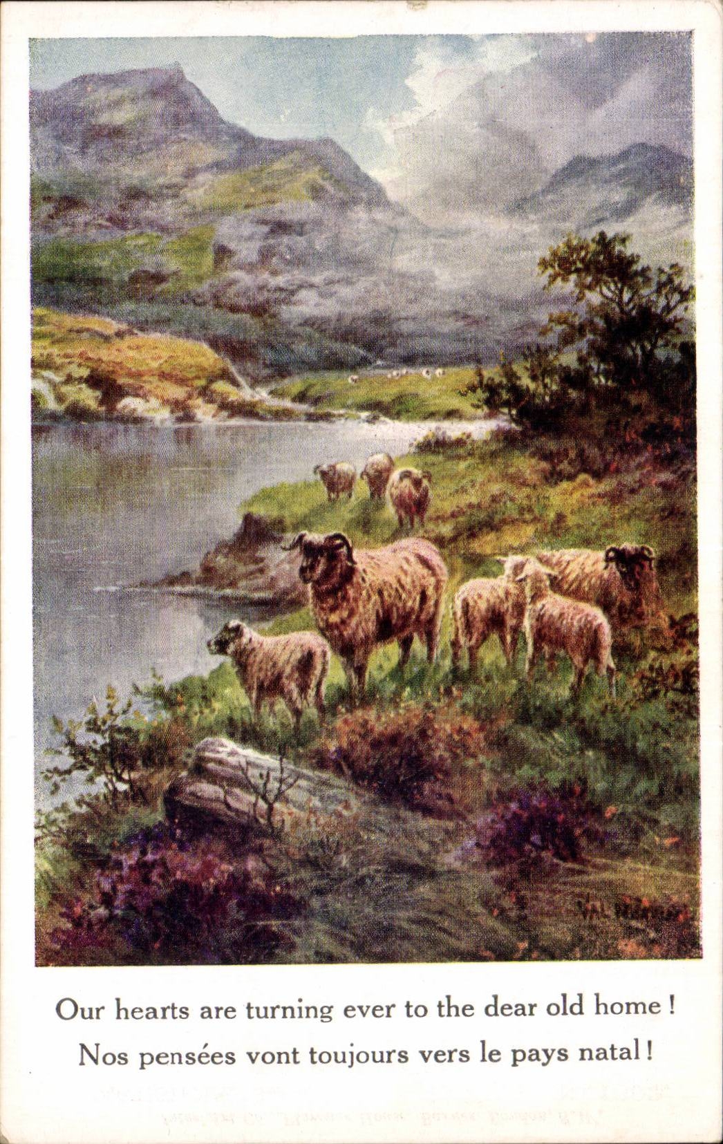 CPA Fantasy Sheep sheep