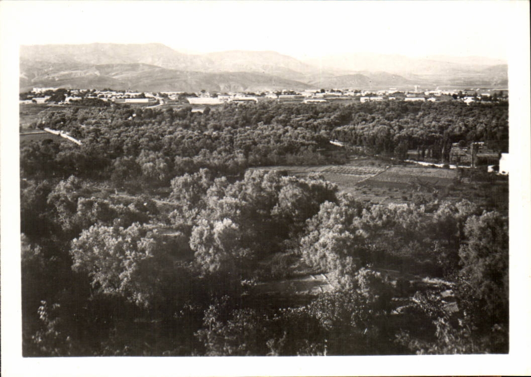 Morocco CPSM Taza View on the olive-trees and the new city