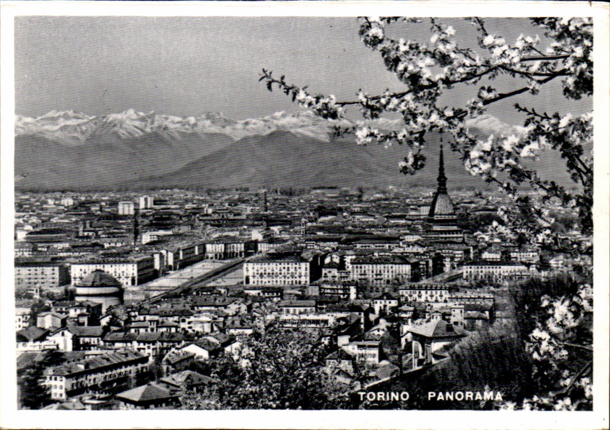 Italie italia Torino CPSM Panorama