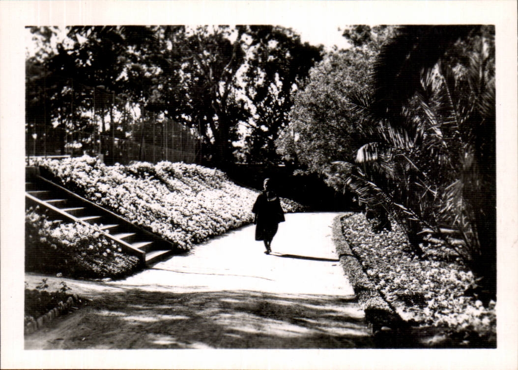 CPSM Marokko Mazagan Park Paul Doumer