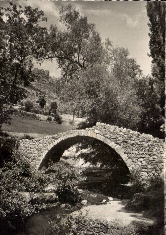 Falls of Jonte CPSM Meyrueis the bridge of six black poplars