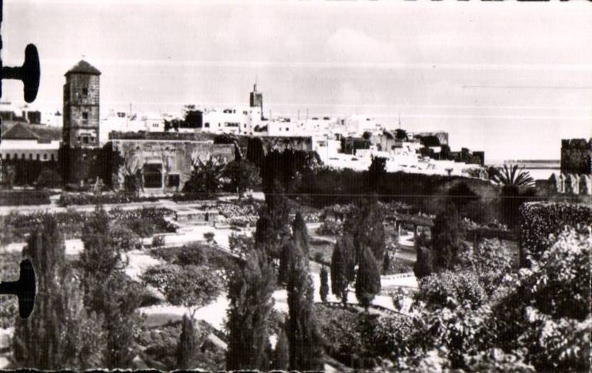 CPSM Morocco Folds back the point of the oudaias seen gardens