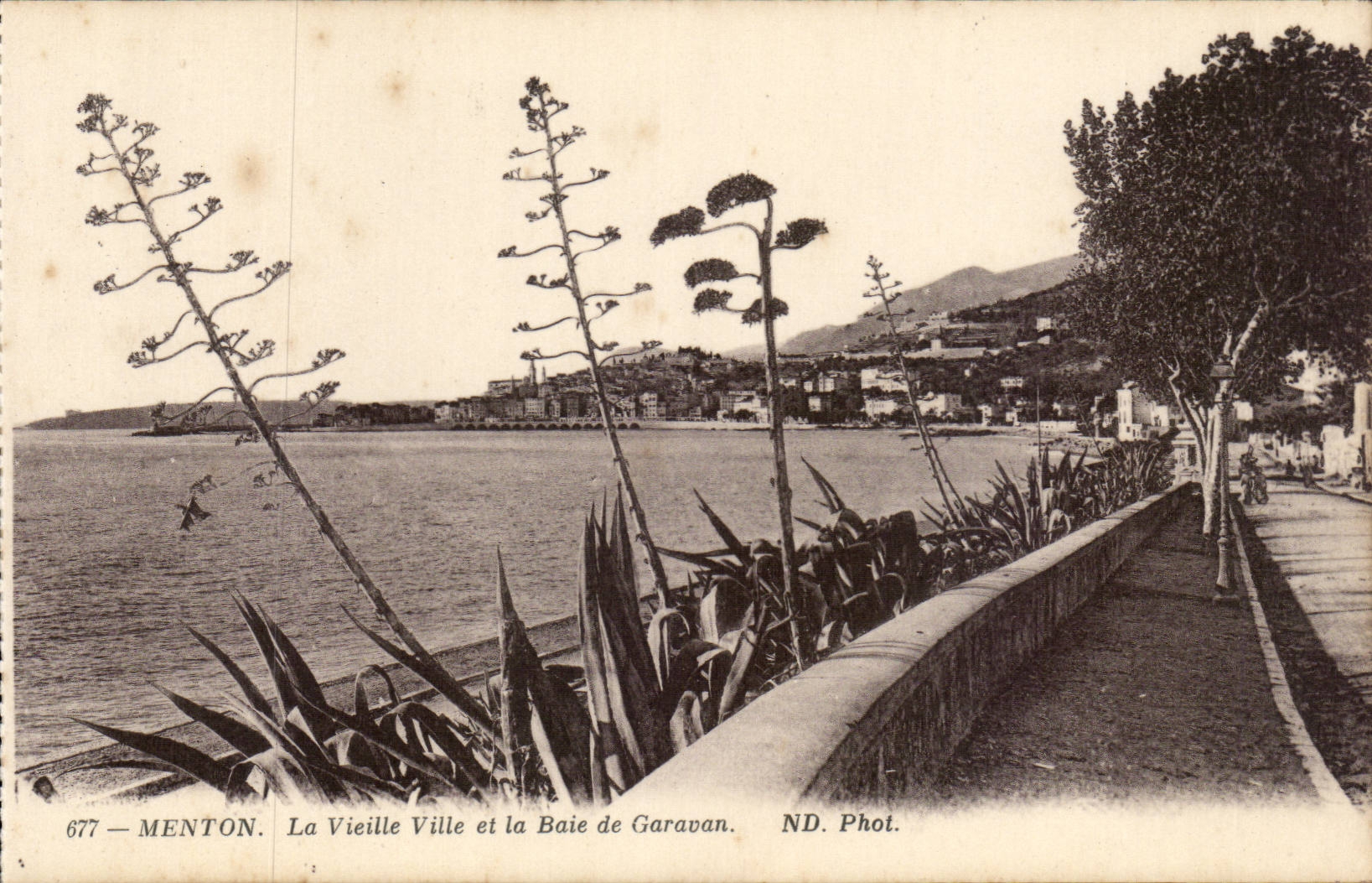 Menton CPA the old city and the bay of Garavan