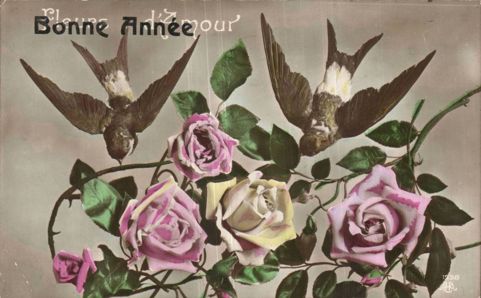 Festivals - Rose - Birds - Flowers - Birds - Happy New Year - CPA