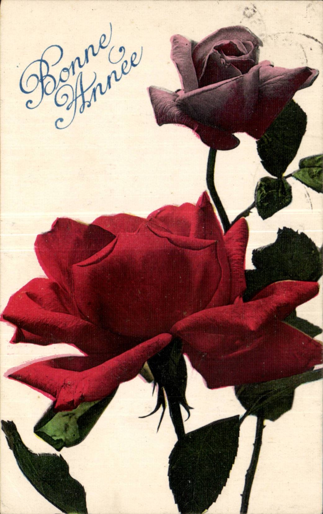 Festivals - Flowers - Flowers - Rose - Happy New Year - CPA