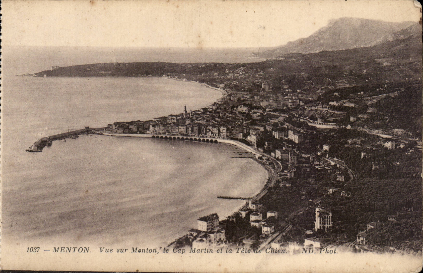 Menton - Sight on Menton - Cape Martin and the Head of Dog - CPA