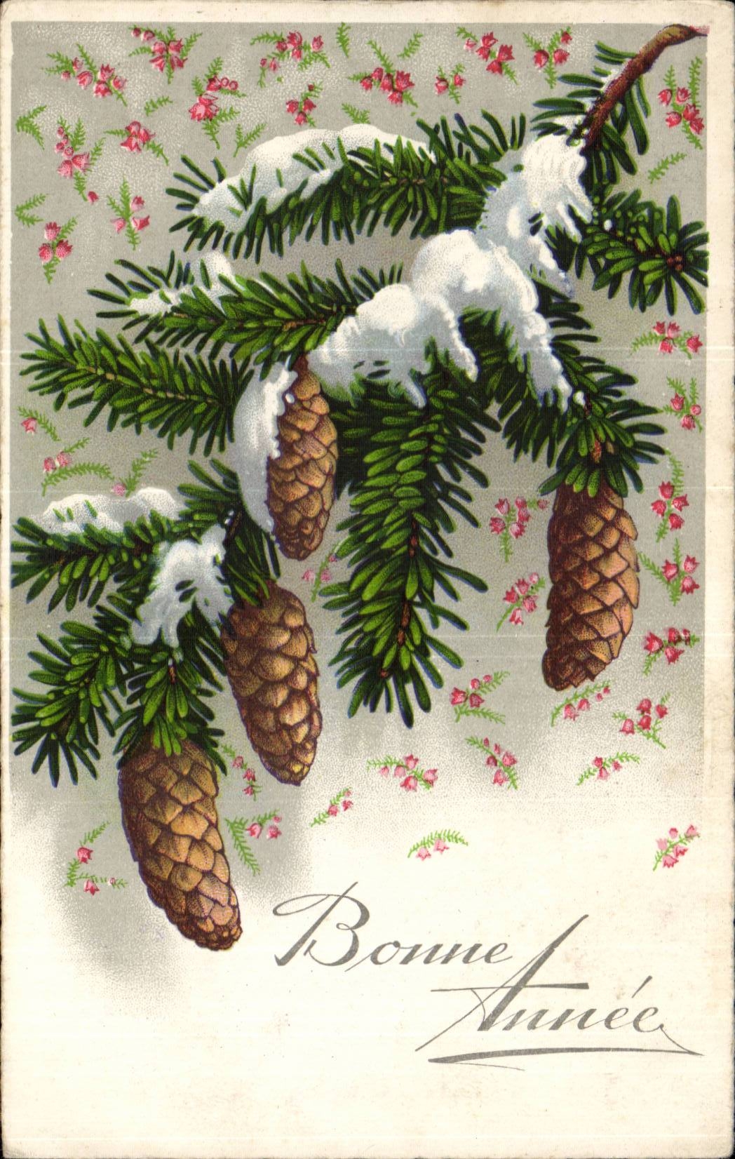 CPA Fantasy Happy New Year