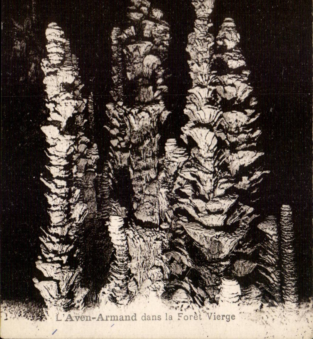 CPA the Swallow-hole Armand in the virgin forest