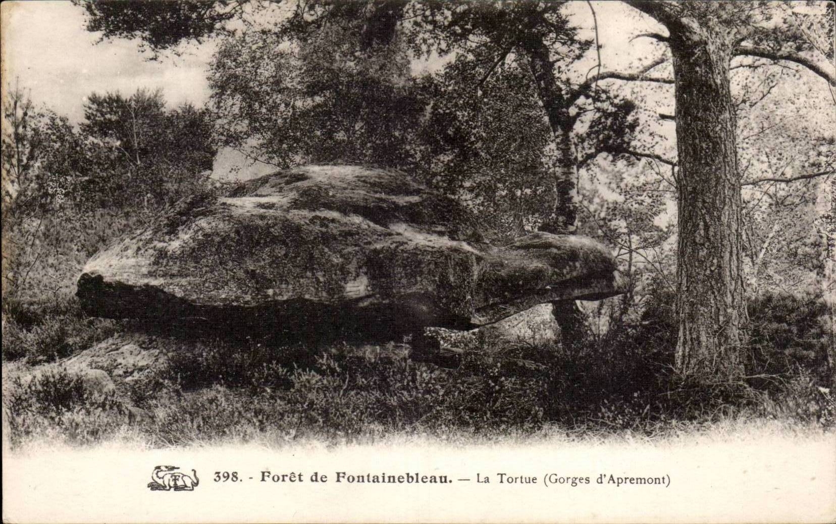 CPA Drill of Fontainebleau the tortoise throats of Apremont