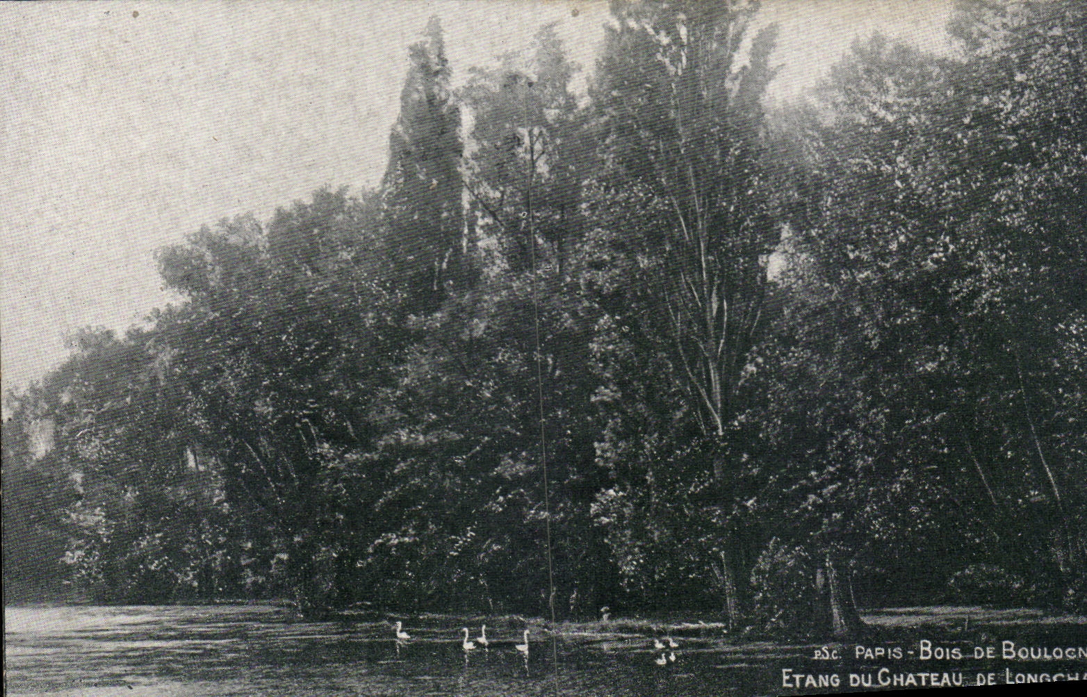 Paris - 16 - Bois de Boulogne - Le Lac CPA