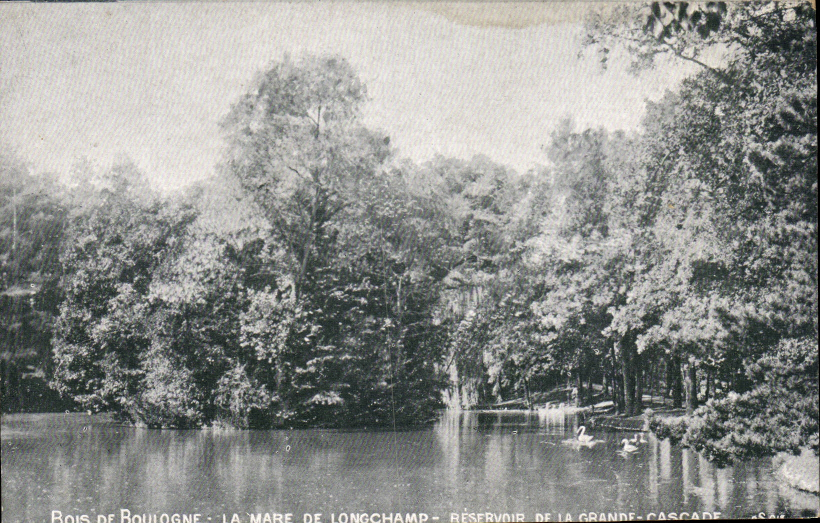 Paris - 16 - Bois de Boulogne - Le Lac CPA