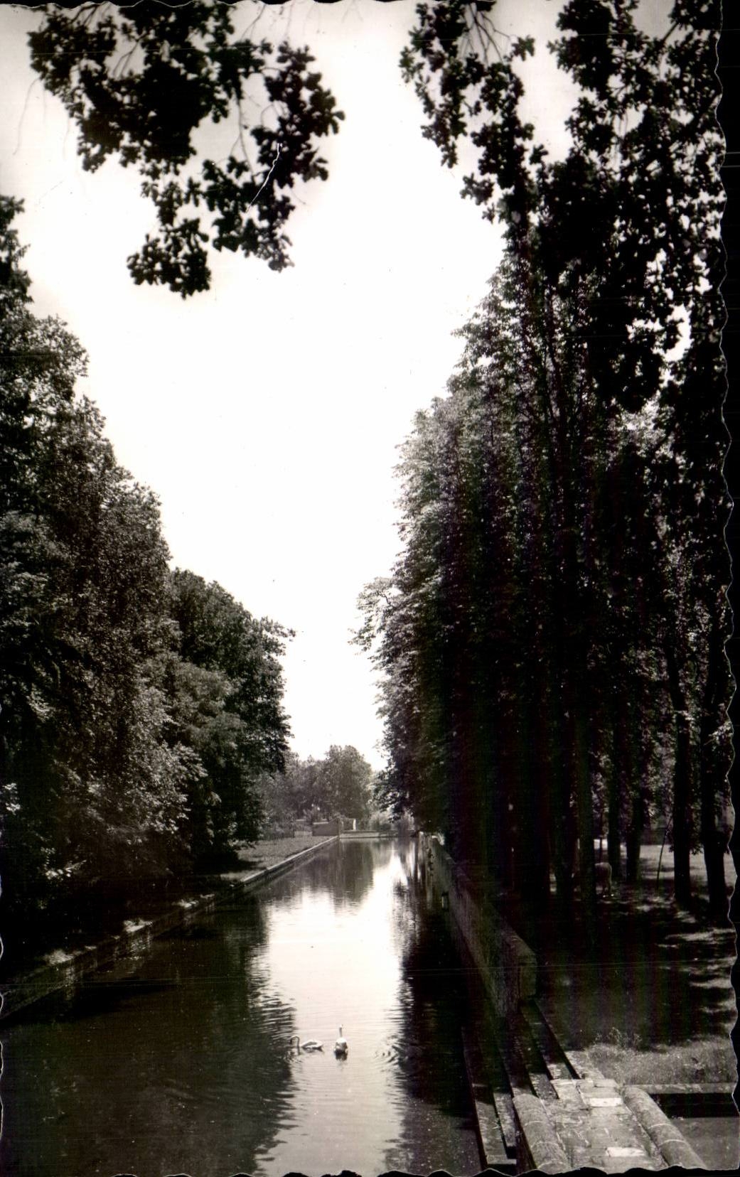Environs de Vichty et Chatelguyon - Chateau d'Effiat - Le Grand Canal - CPA 
