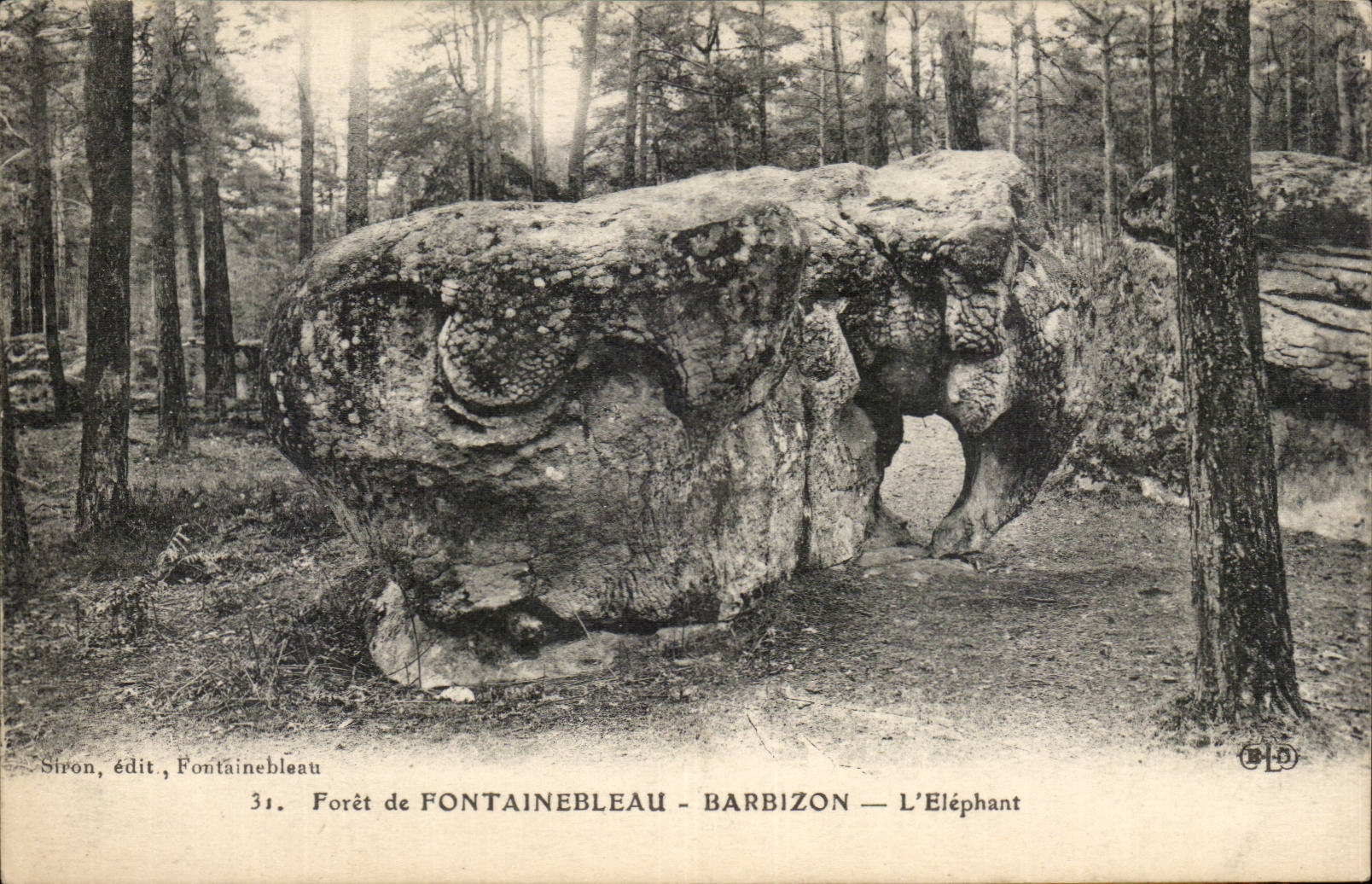 Drill of Fontainebleau CPA Barbizon the elephant