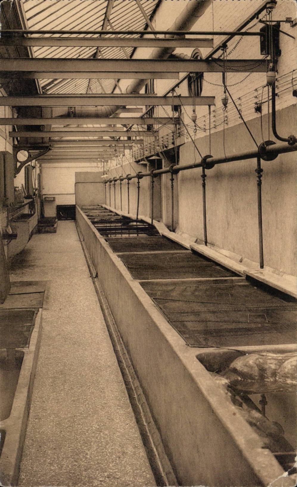 CPA Antwerpen zoologischer Garten Aquarium-Flur des Services