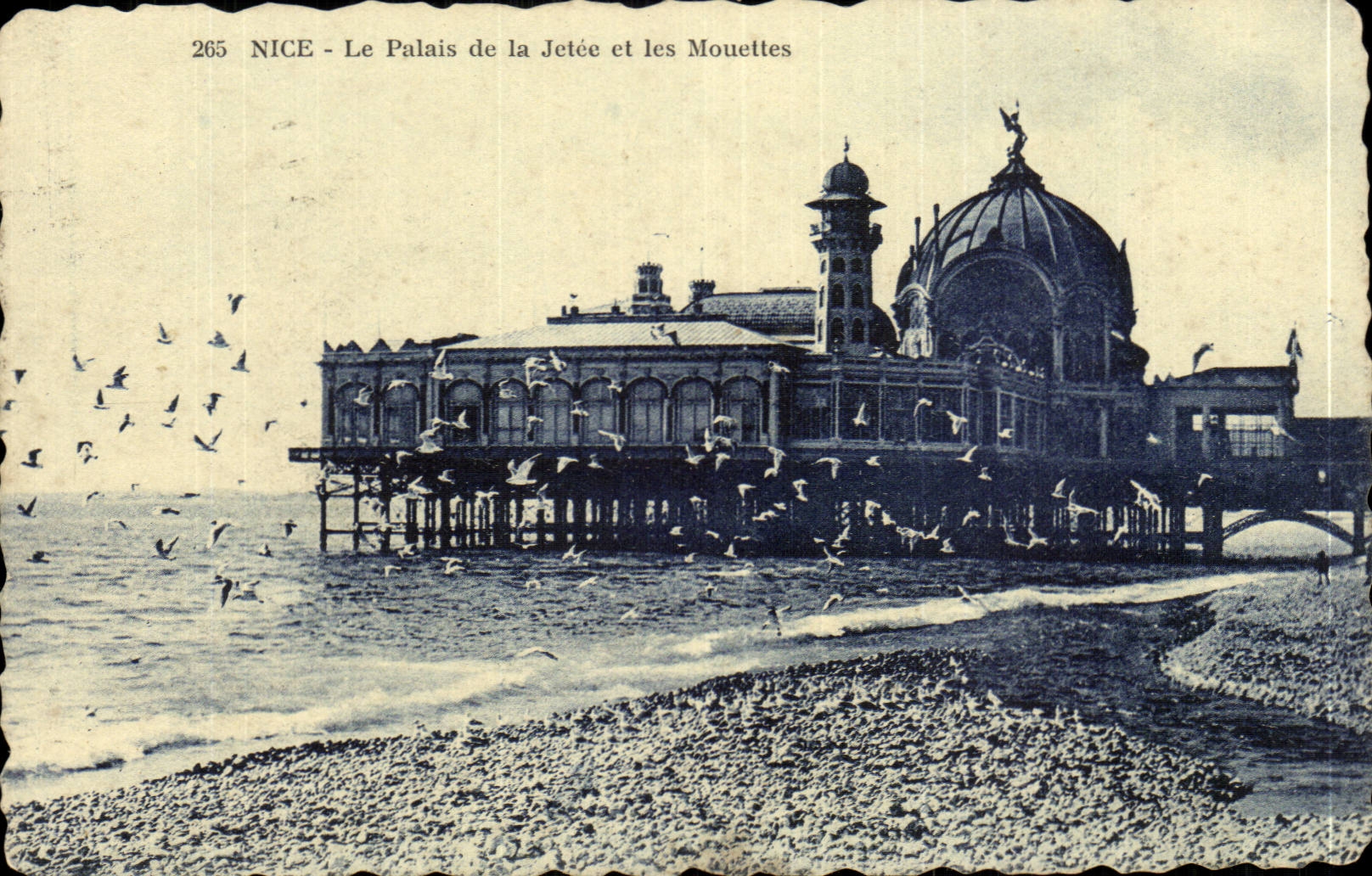 Nice CPA law courts and gulls