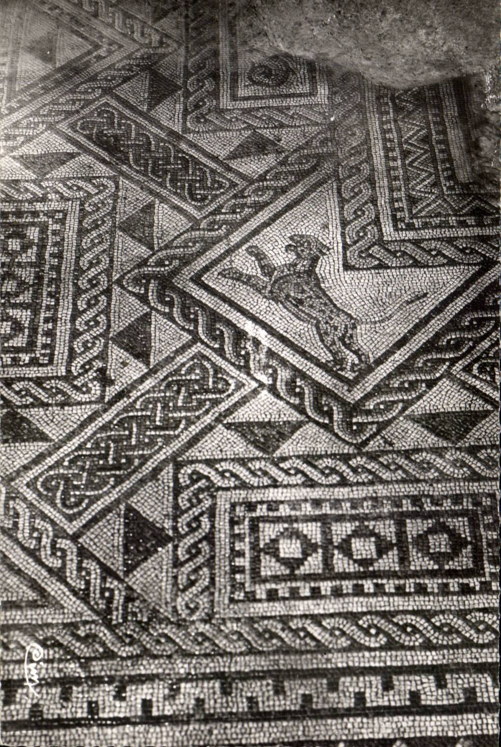 Large MODERN CARD Seen of a aprtie of the Roman mosaic