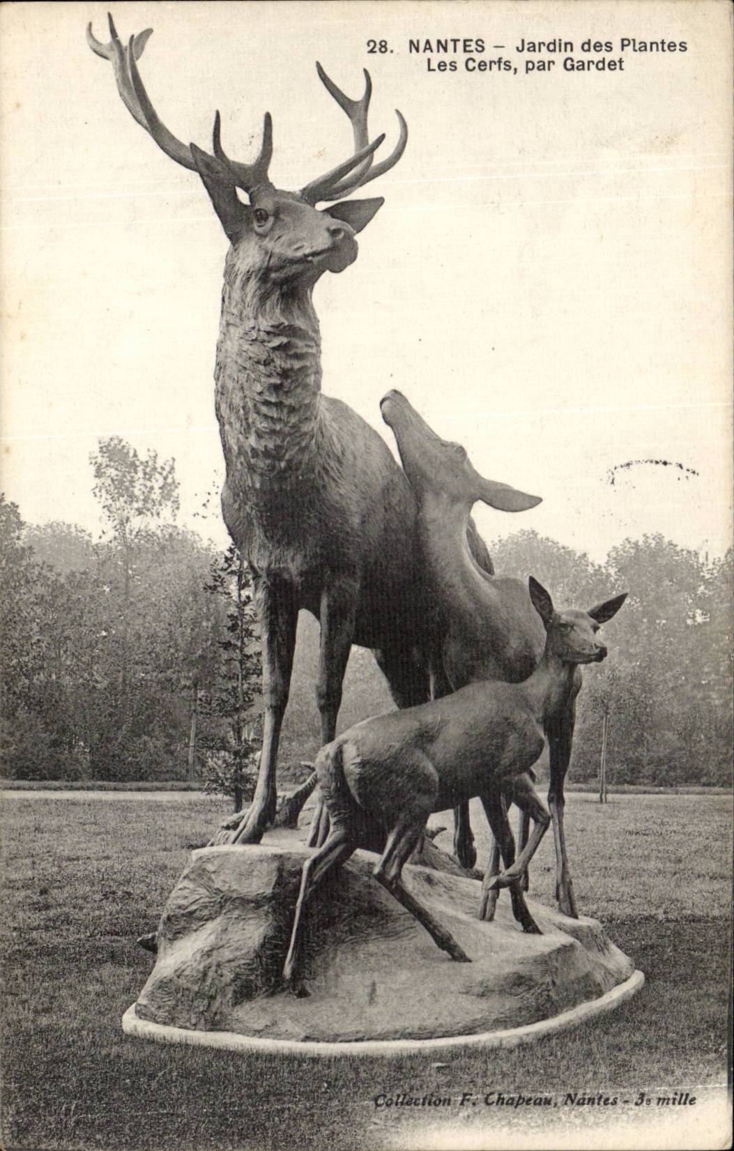 Hirsche botanischen Gartens des Nantes-CPA durch Gardet
