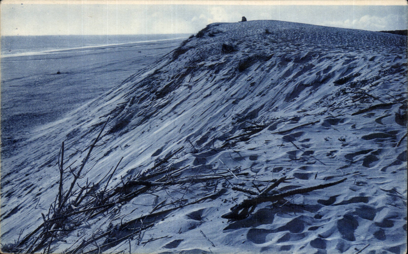 CPA the great dimension the dune