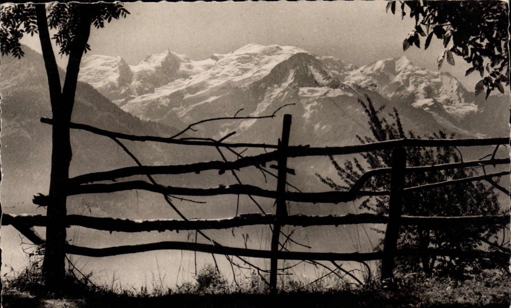 CPA Servoz solid mass of the Mount Blanc