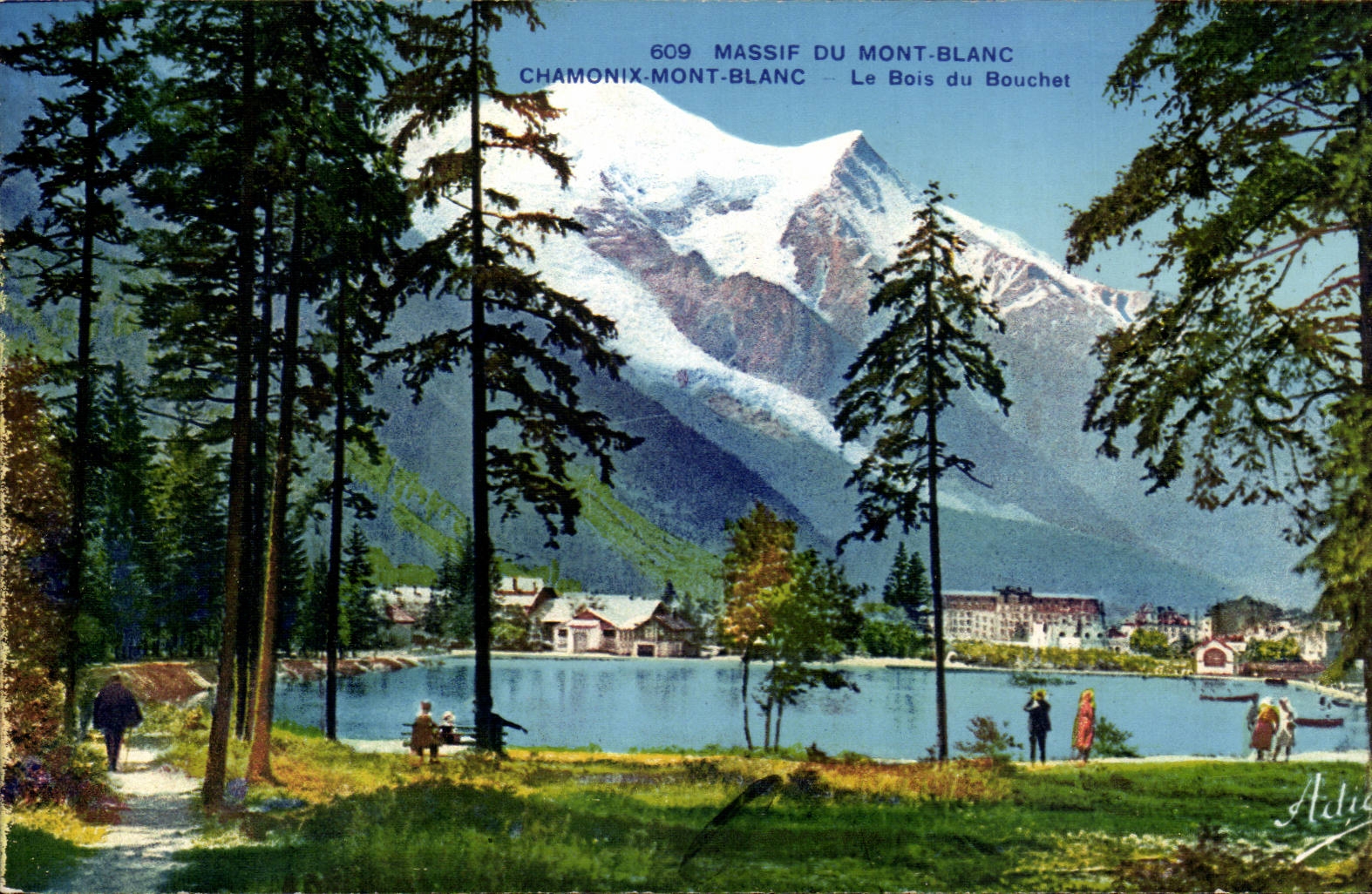 CPA Massif du Mont Blanc Chamonix Le bois du boucher