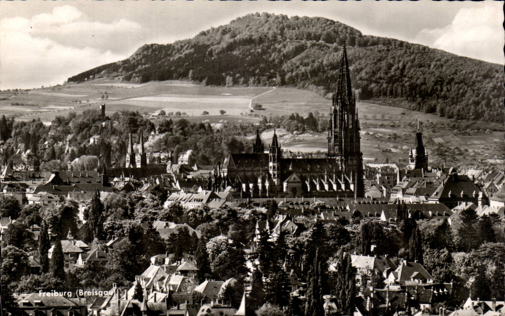 CPM Freiburg Breisgau