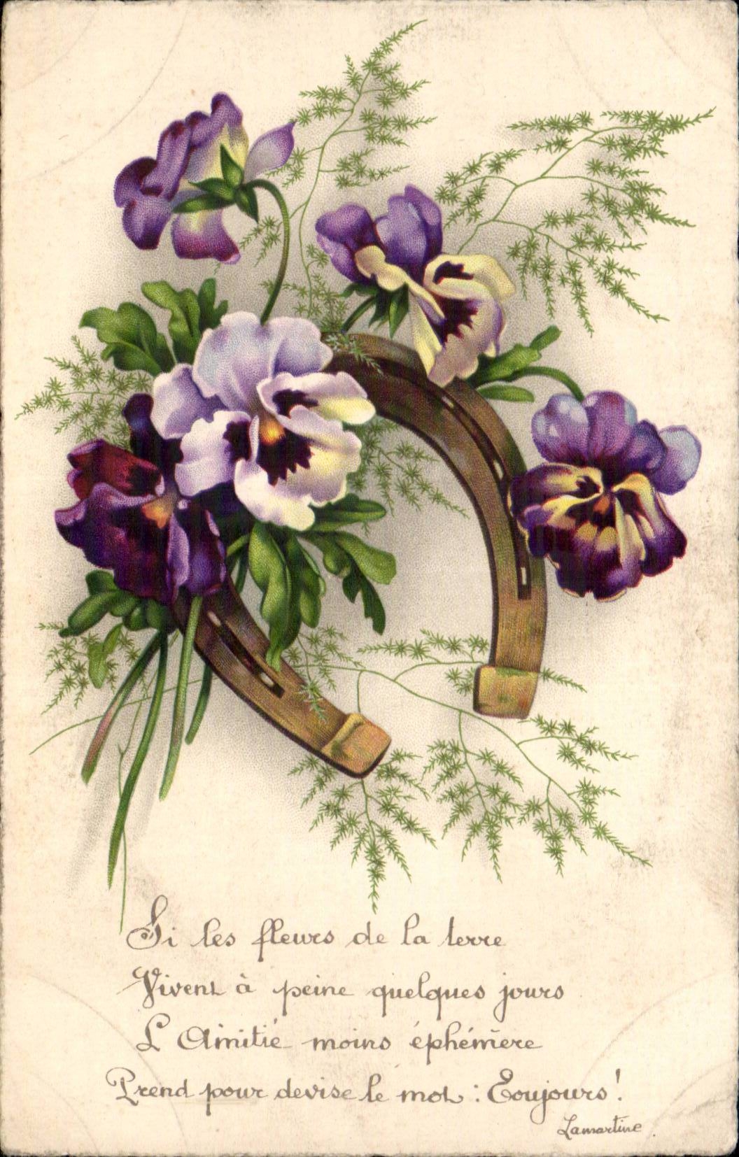 Flowers - Flowers - Thought - Pansy - Horseshoe - Horseshoe - CPA