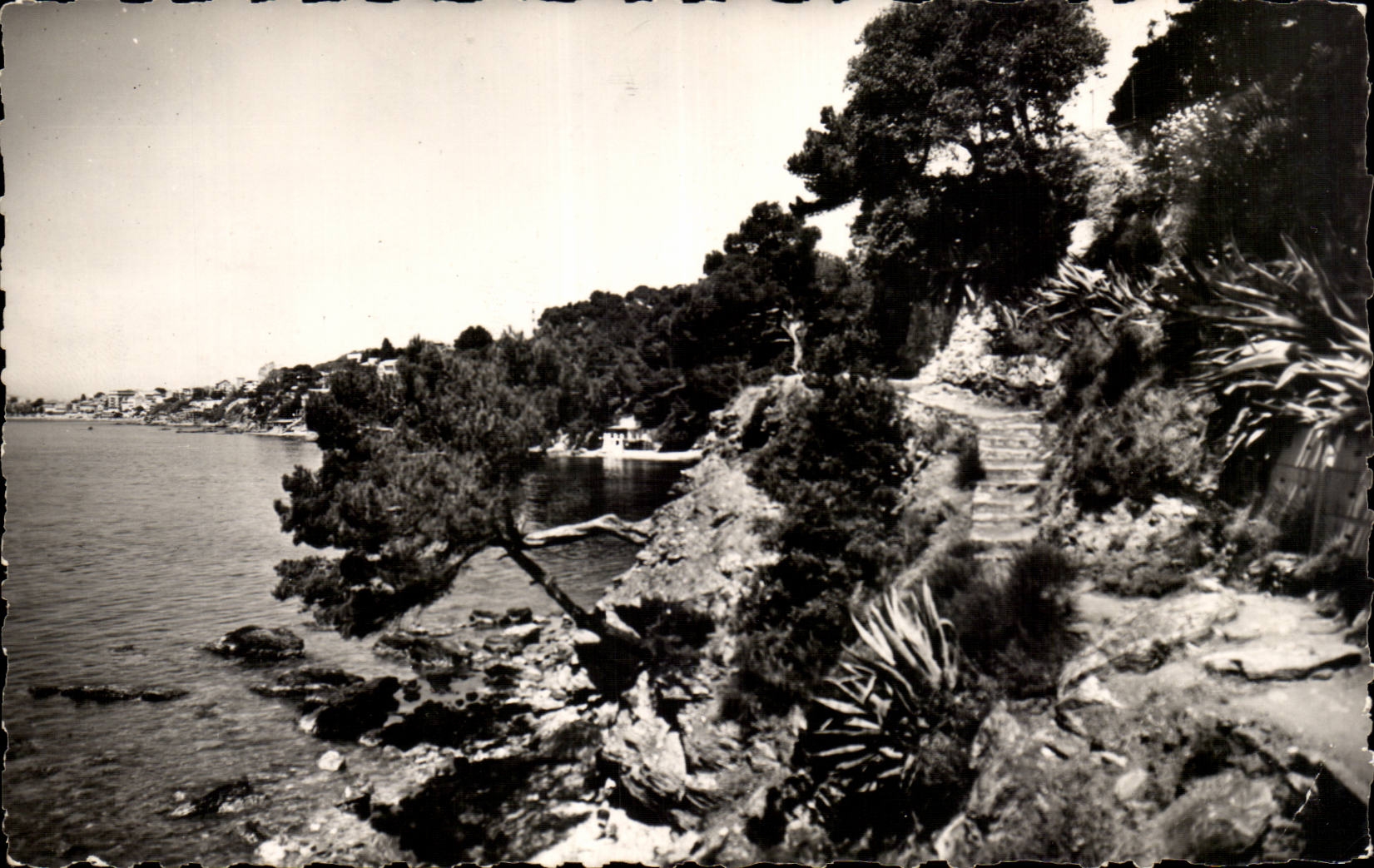 Toulon Cape Brown - the Coastguard Path - CPA