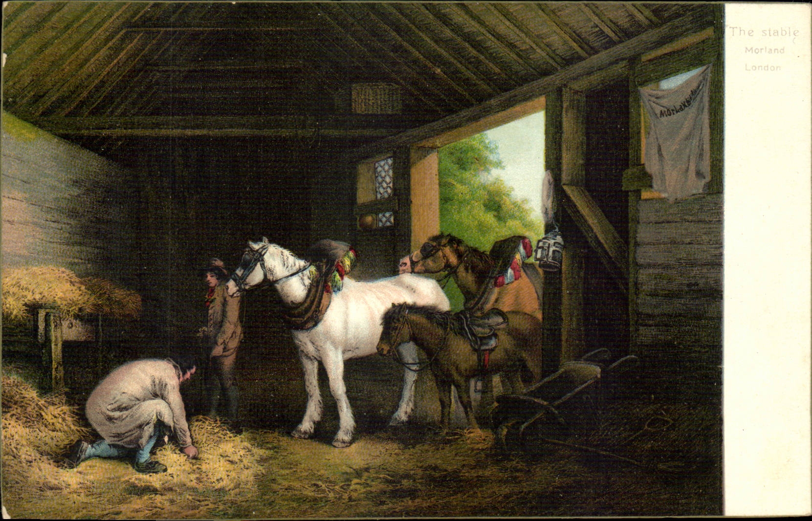 CPA Fantasy Horse Horse horses