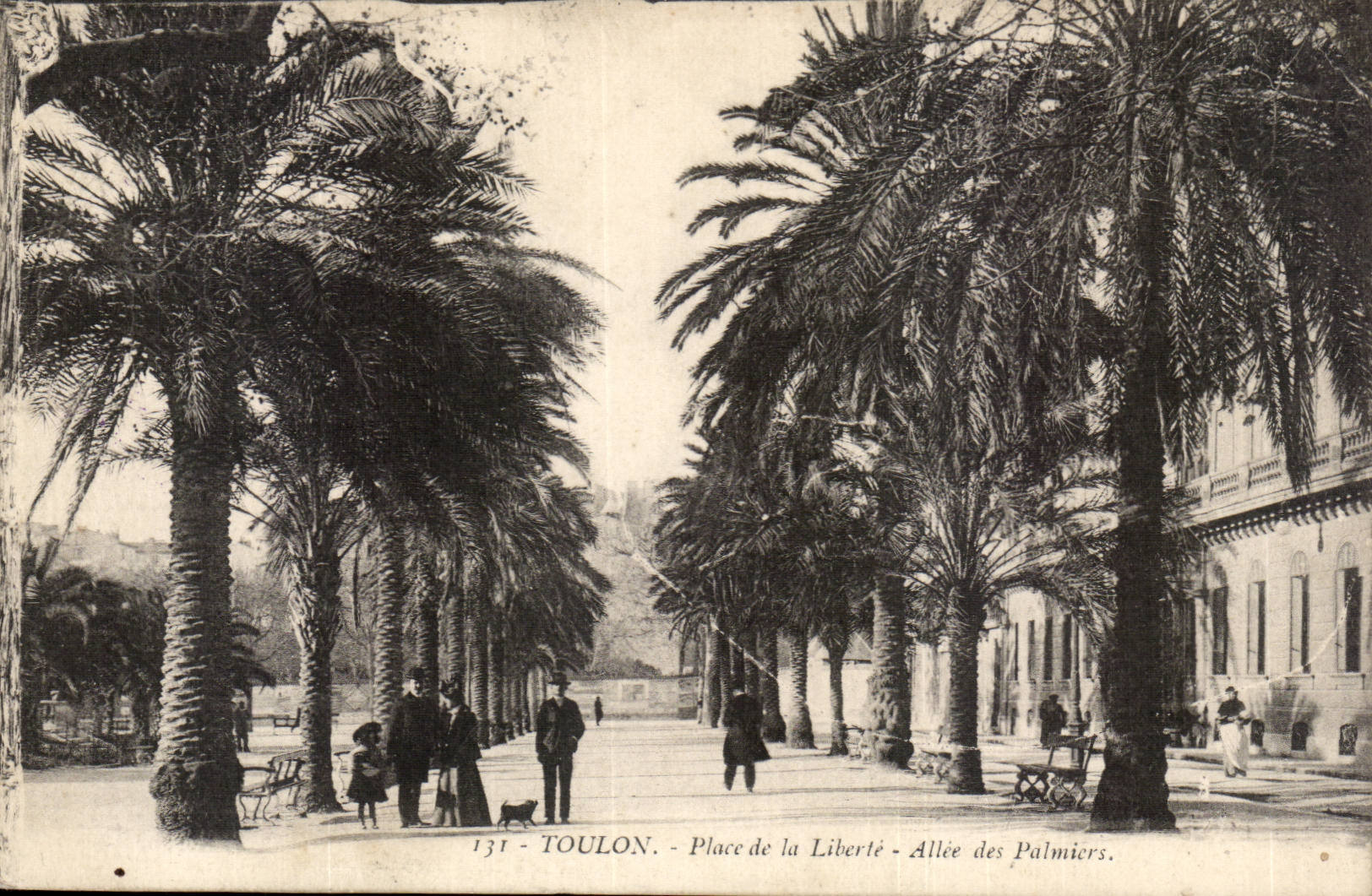 Toulon CPA Places Allee freedom of the palm trees