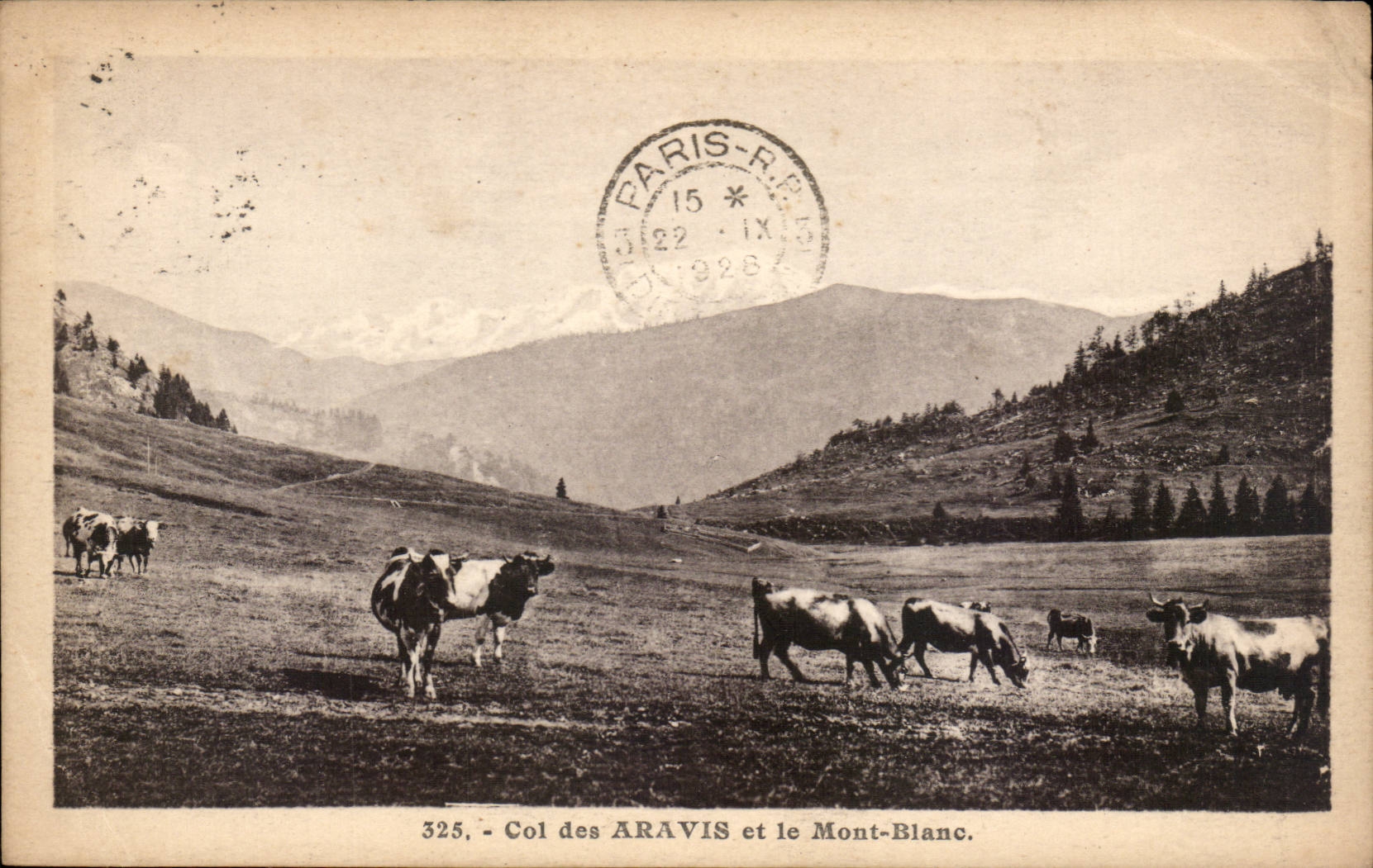 CPA Collar of the aravis and Mont Blanc Cows