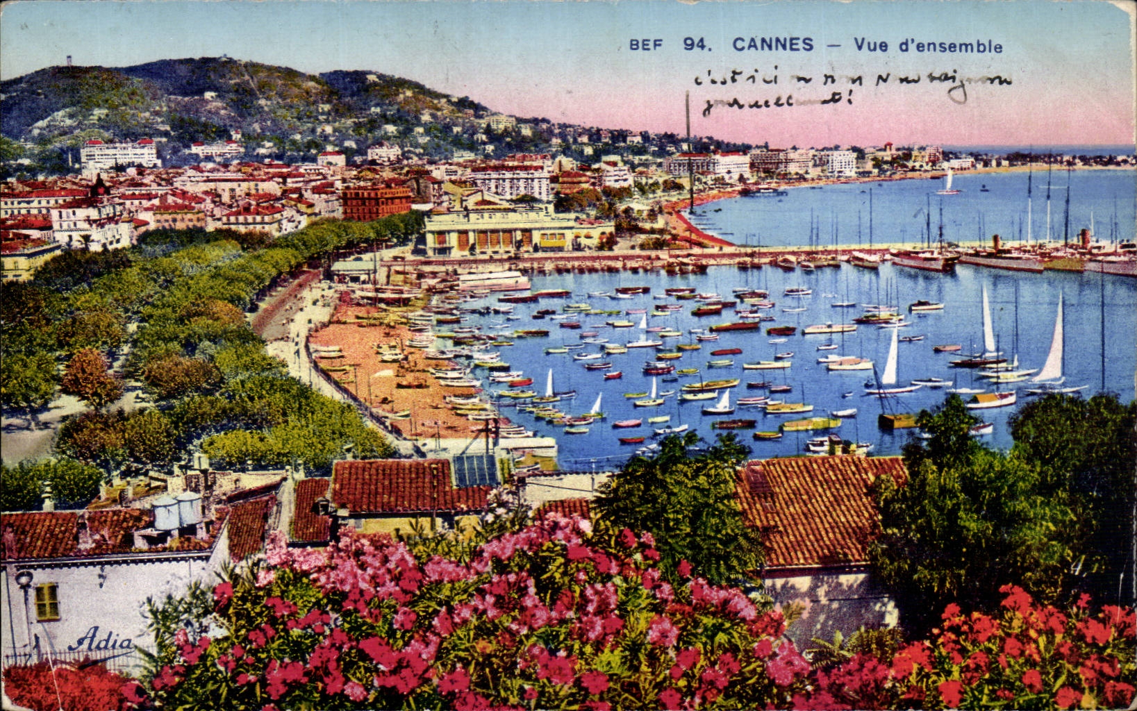 Cannes CPA Overall picture