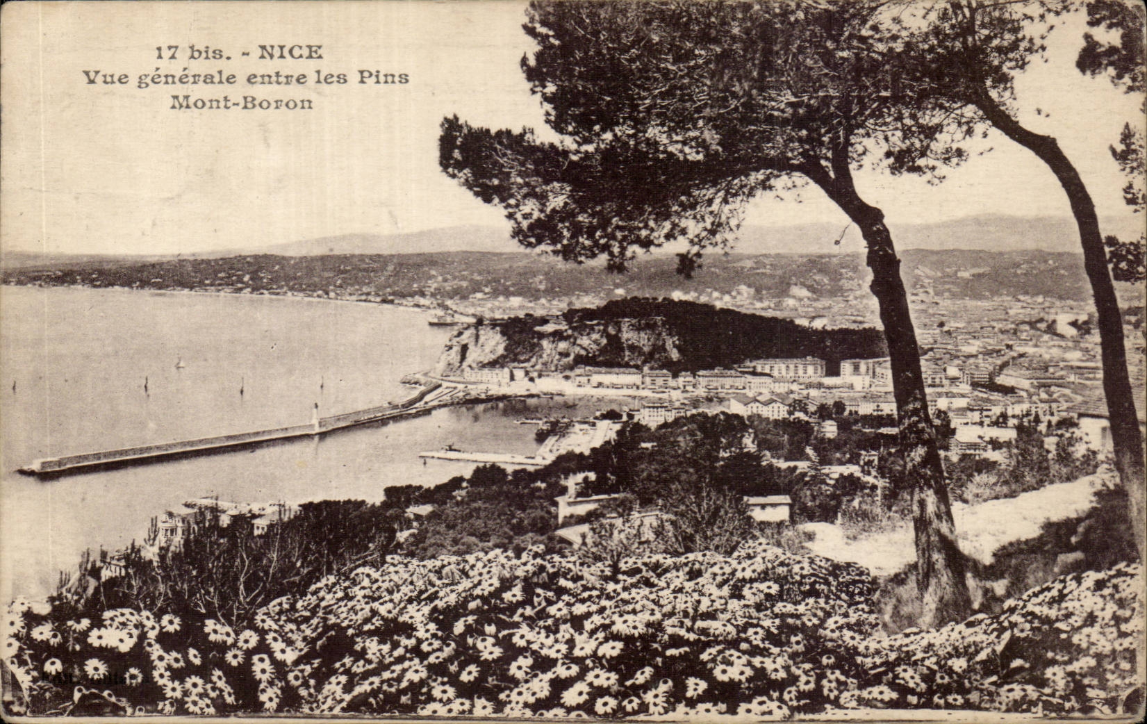 CPA Nice View between the pines Boron Mount