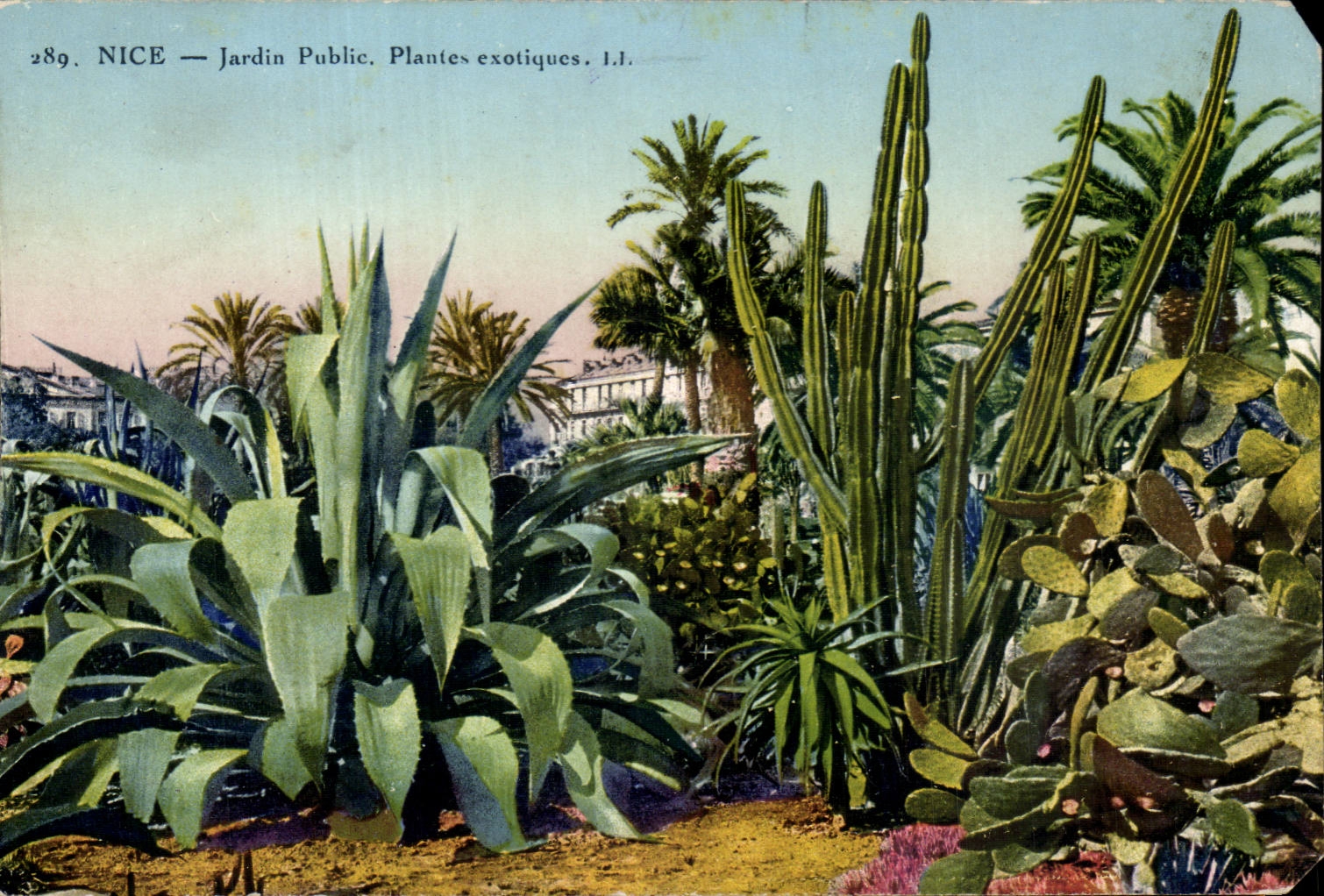 CPA Nice Park exotic plants