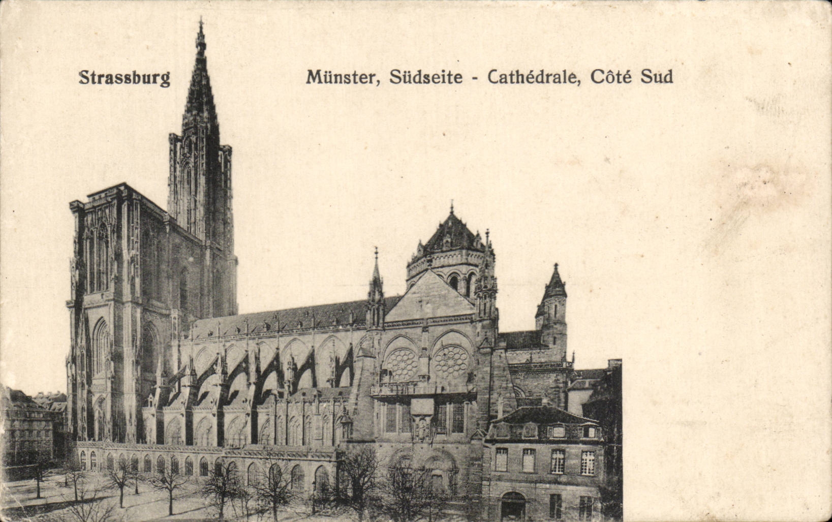 CPA Strassburg Munster Sudseite Cathedral Southern part