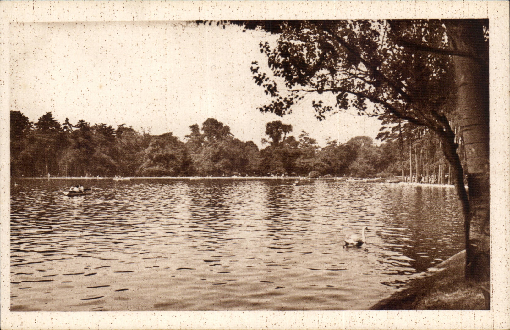 Paris CPA Au bois de Boulogne Un coin du lac interieur
