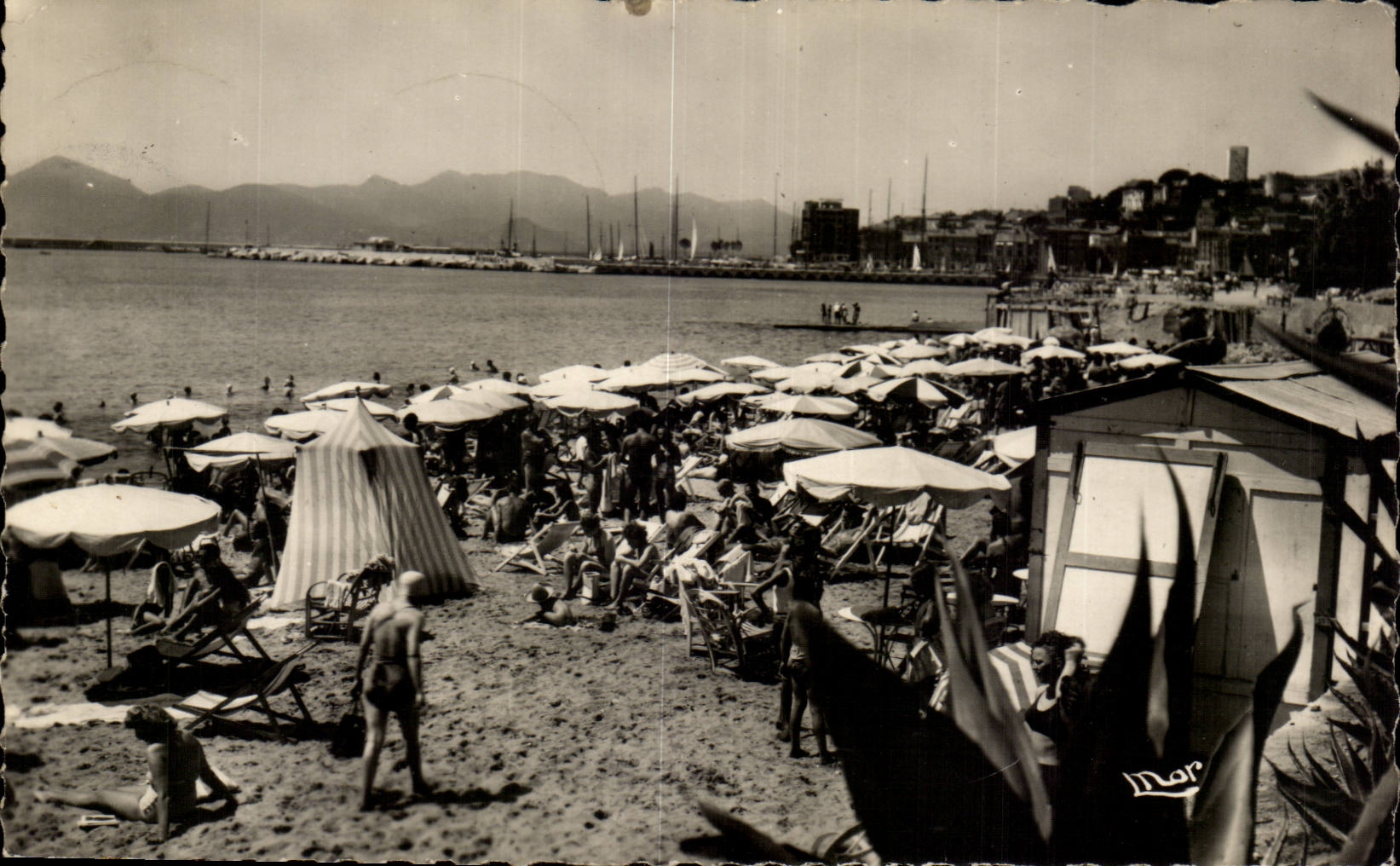 Cannes CPA the beach