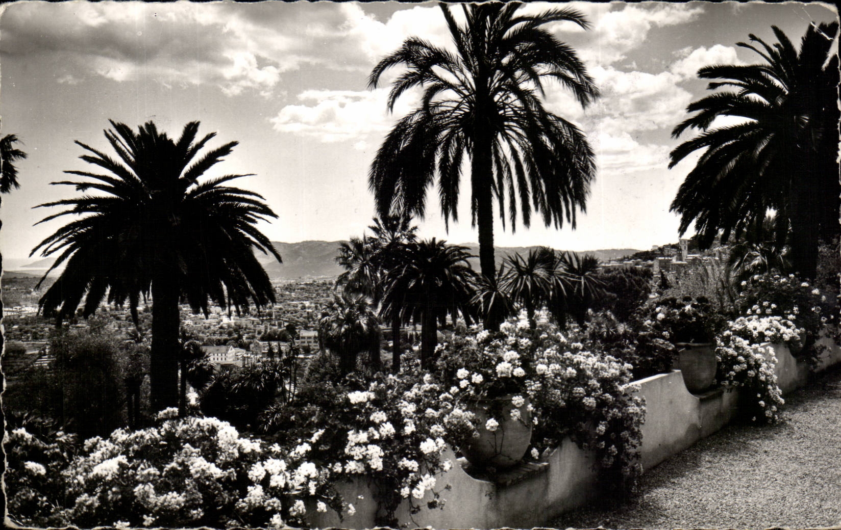 Fetthaltiges CPSM seine exotische Vegetation