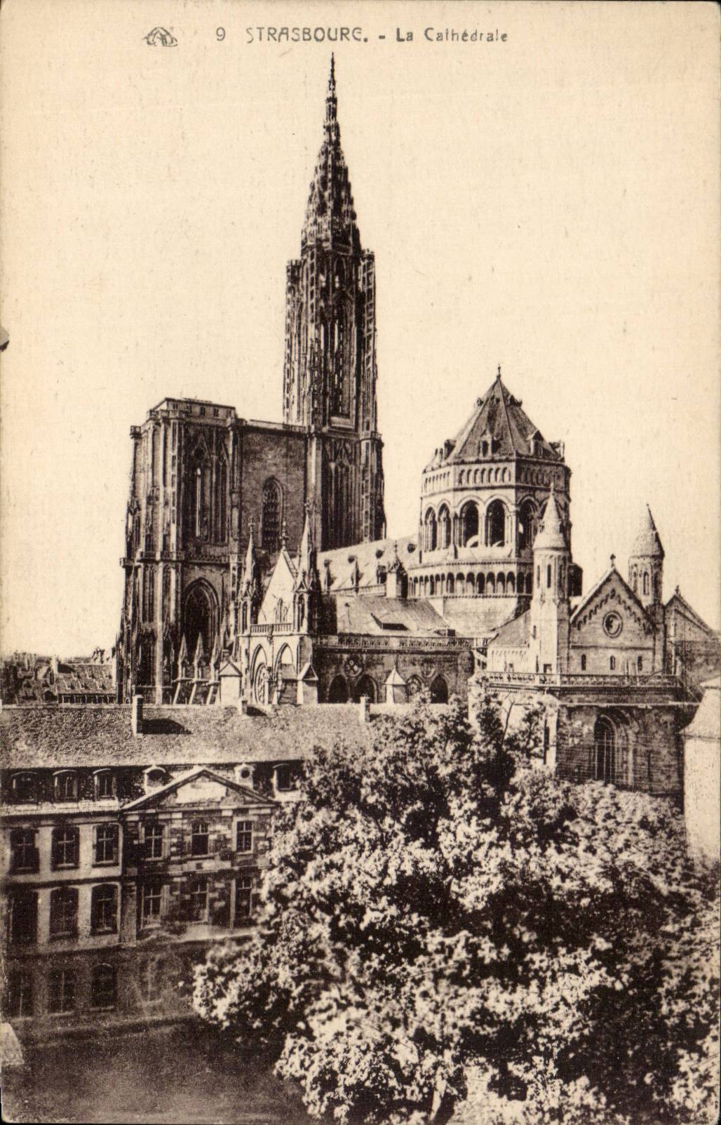 CPA Strasbourg the cathedral