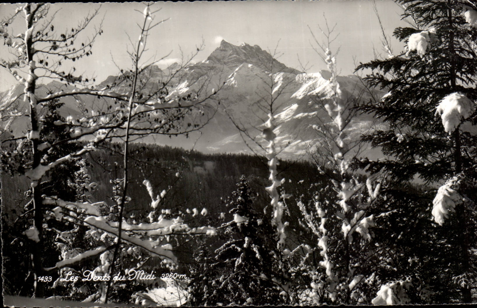 CPSM teeth of midday