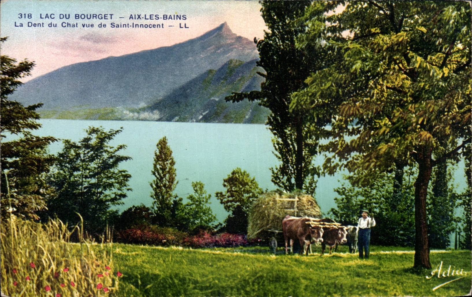 CPA Lake of Le Bourget Aix les Bains the tooth of the cat seen of Saint innocent Coach