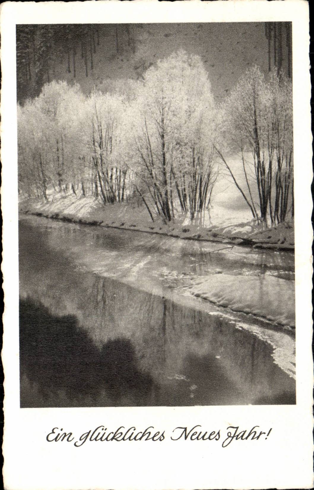 CPA New year Landscape under snow